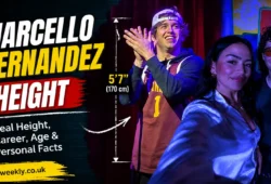 marcello hernandez height